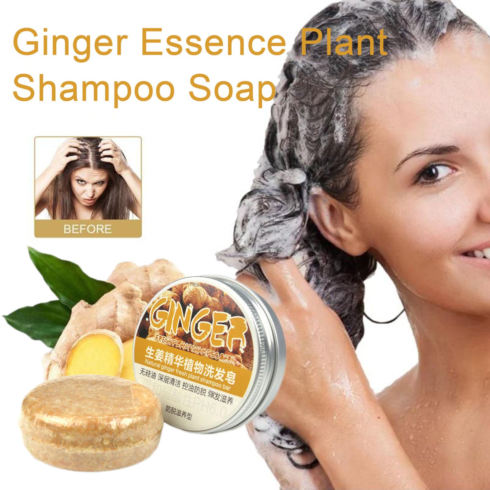 Ginger Polygonum Soap Shampoo  - Hair Care Organic review and price